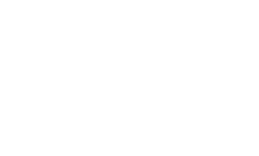 The Raki